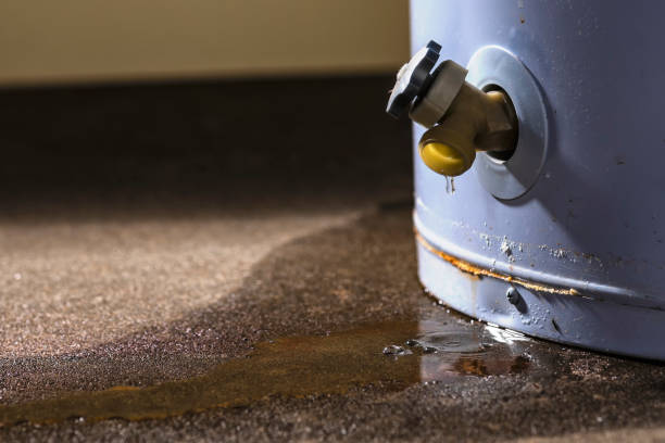 Best Basement water damage restoration  in Moses Lake, WA