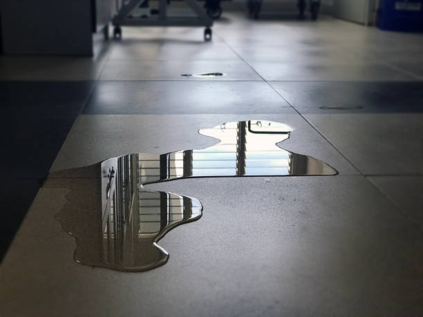 , WA Water damage restoration Company