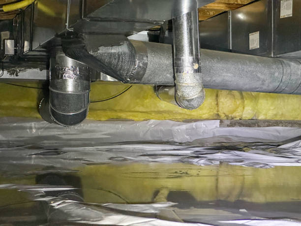 Best Basement water damage restoration  in Moses Lake, WA