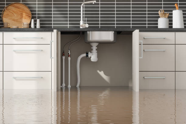 Best Flood damage cleanup  in Moses Lake, WA